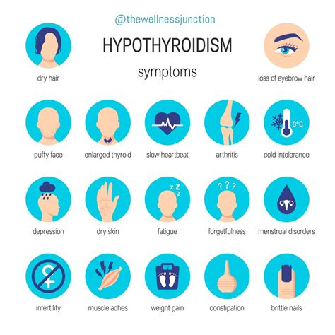 The connection between Hypothyroidism and SIBO - The Wellness Junction