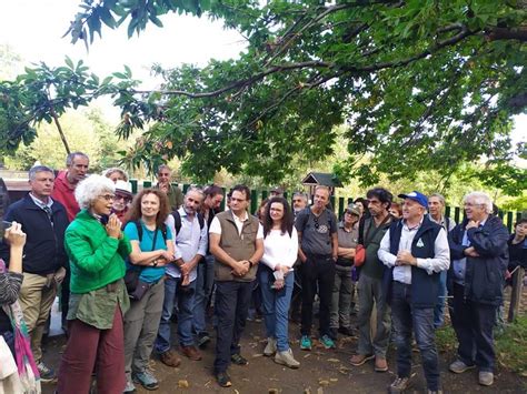 A Sant Alfio Esperti Di Alberi Da Tutto Il Mondo Per Il Millenario