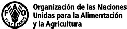 Inicio Organizaci N De Las Naciones Unidas Para La Alimentaci N Y La