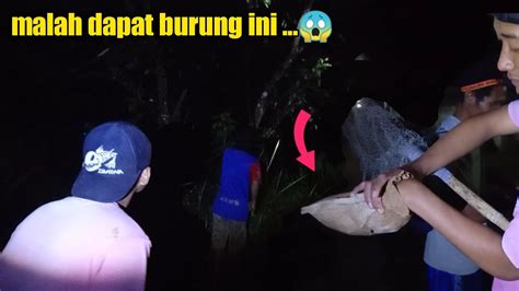 Berburu Di Malam Hari Iseng Cek Sarang Burung Ternyata Isinya