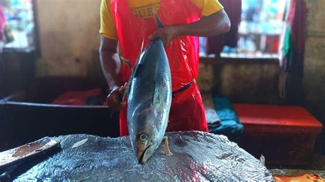 Skipjack Tuna Fish Cutting Skills In The World Youtube