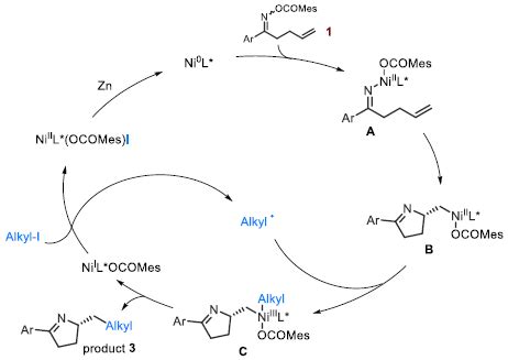 Enantioselective Reductive N Cyclization Alkylation Reaction Of Alkene