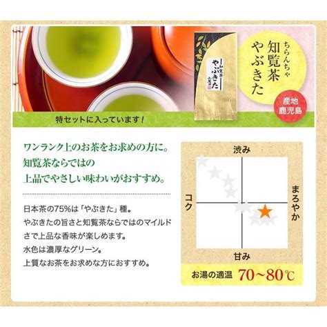 知覧茶 やぶきた 100g 緑茶 茶葉 日本茶 煎茶 お茶の葉 正規通販