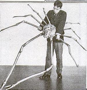 Japanese spider crab Facts for Kids