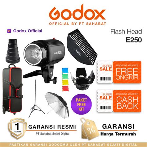 Jual Godox E250 Flash Head E-250 - UNIT ONLY - Jakarta Pusat - Pro Foto ...