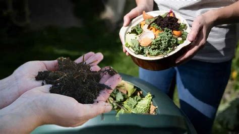 Comment Proc Der Pour Activer La D Gradation Du Compost