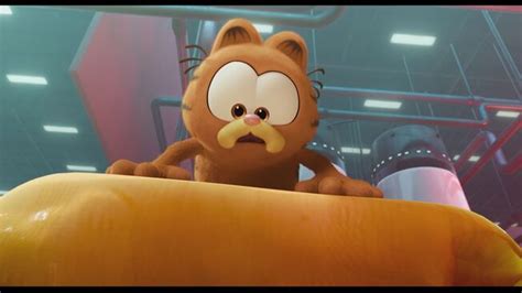 Guarda La Clip Da Garfield Una Missione Gustosa Tgcom24 Video