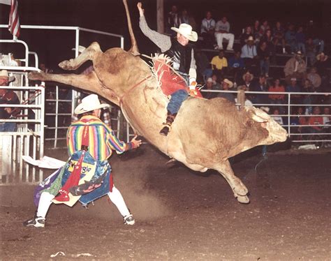 Wisdom Wise: Ride the Bull