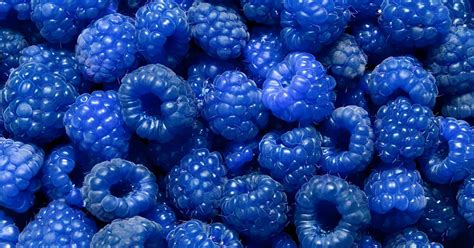 The Strange Origin Of Blue Raspberry