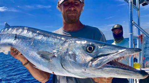 GIANT BARRACUDA Catch And Cook Best Recipe For Jack Grill FRY In