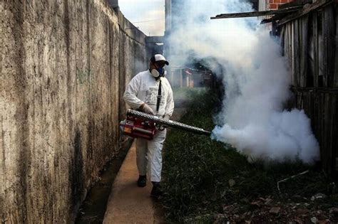 Dengue récord de casos en 2023 en el país y circulación viral todo el