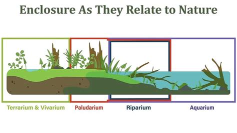 Pin By Charlotte Errington On Aquascape In 2024 Fish Tank Terrarium