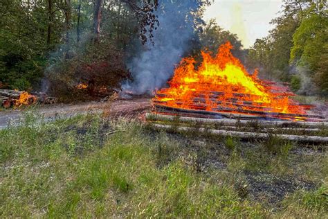 Eggenstein Leopoldshafen Brandstifter soll mehrere Brände im Hardtwald