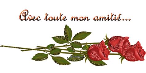 BIENVENUE DANS MON JARDIN SECRET 