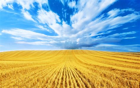 🔥 [100+] Free Harvest Wallpapers | WallpaperSafari