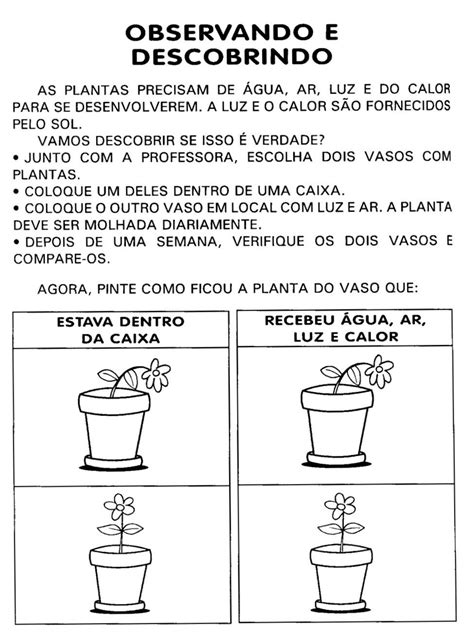 O Que As Plantas Precisam Para Viver Educação Infantil - Atividade Sobre As Plantas Educação Infantil - NAZAEDU