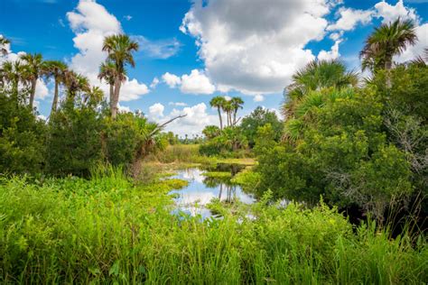 Florida Green Stormwater Infrastructure » Orlando Wetlands Park