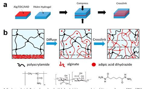 Figure 1 From Covalent Topological Adhesion Semantic Scholar