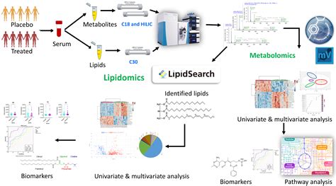 Ijms Free Full Text Serum Metabolomic And Lipidomic Profiling