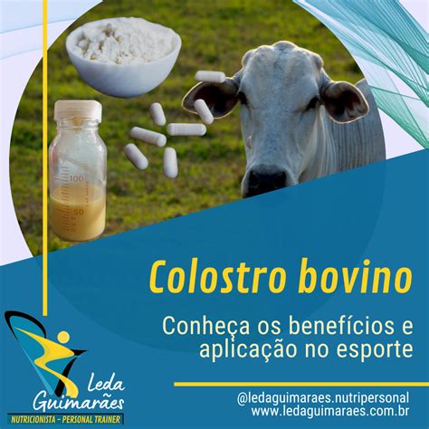 Colostro Bovino Conhe A Os Benef Cios E Aplica O No Esporte