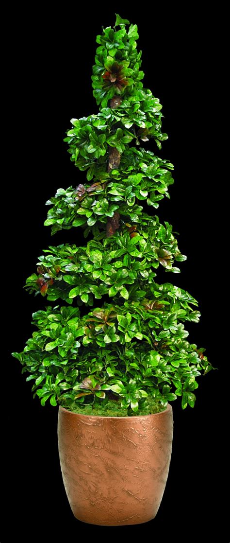 Artificial Spiral Topiary | TreeScapes & PlantWorks