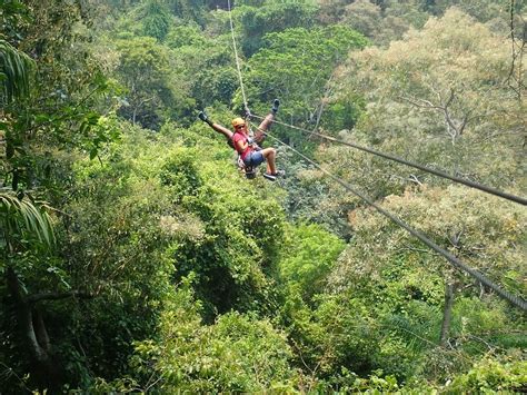 Roatan Life in the Bay - All You Need to Know BEFORE You Go (2025)