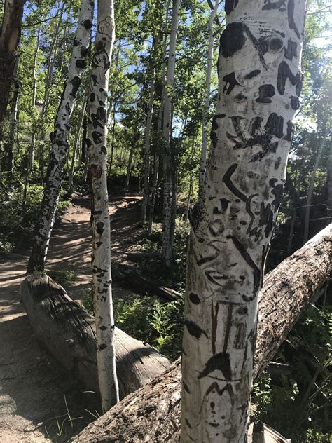 Gem Lake Trail – Approachable Outdoors