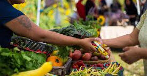 Plant Chicago Farmer's Market | Chicago Studies | The University of Chicago