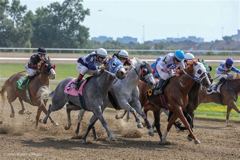 Handicapping Quarter Horse Racing - Ontario Racing