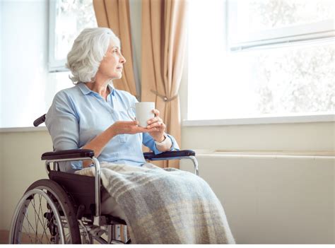 senior sitters  essential  elderly independence
