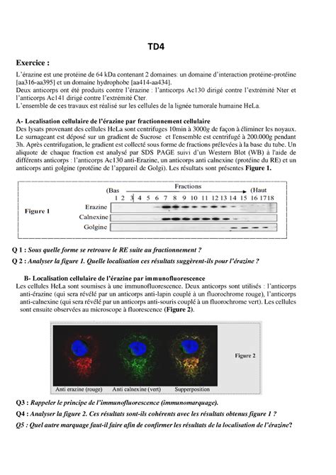 TD4 L3 Poly TD4 L3 Biologie cellulaire 3 TD Exercice Lérazine