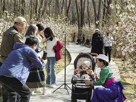 图片新闻 春意渐浓 市民打卡兰州植物园 游园 瞬间 花丛