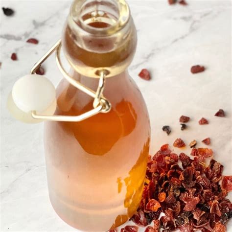 Rosehip Syrup Recipe - Daily Tea Time