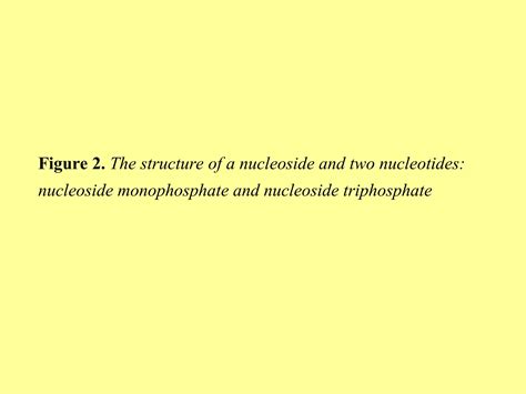 Chemistry Of Nucleic Acid And Classification Ppt