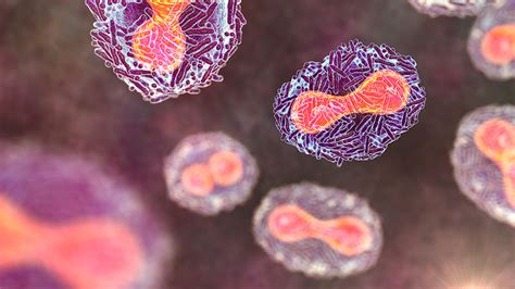 infectious disease  cme aafp