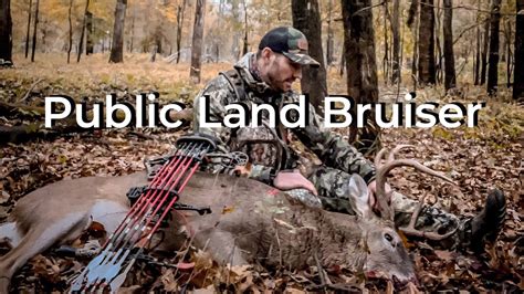 Public Land Big Woods Buck From A Saddle Youtube