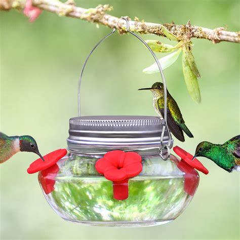 Glass Hummingbird Feeders For Outdoors Hanging Cute Mason Jar Shape