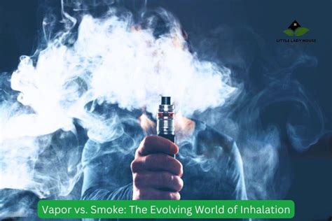 Vapor vs. Smoke: The Evolving World of Inhalation – Little Lady House