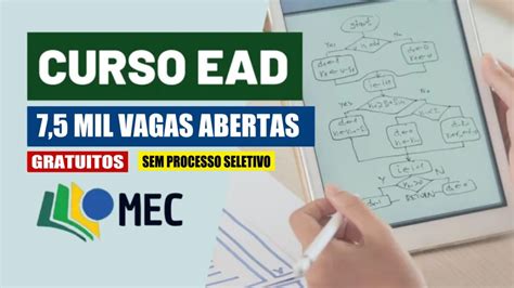 Mec Abre Mil Vagas Em Curso Ead Gratuito Certificado Sem