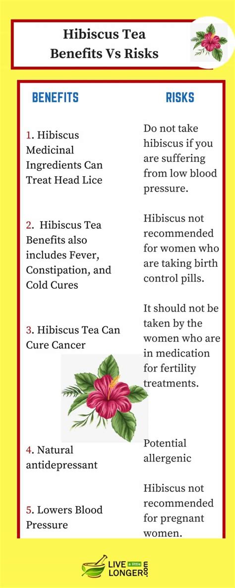 9 Scientifically Proven Health Benefits Of Hibiscus Flower Lll Care