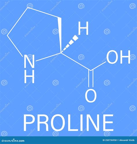 Proline Or L Proline Pro Amino Acid Molecule Skeletal Formula Stock