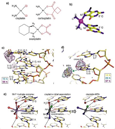 Platinum Agent Adduct Formation And Site Selectivity A Chemical