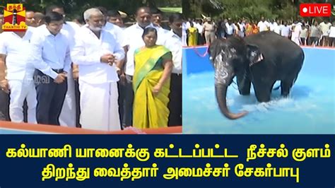 🔴live கல்யாணி யானைக்கு கட்டப்பட்ட நீச்சல் குளம் திறந்து வைத்தார்