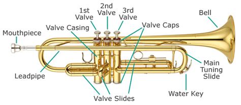 How To Set Up Clean B Flat Trumpet