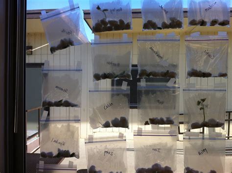 SUMMER CAMP Early Bird registration... - Lompoc Family YMCA