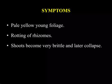 Diseases of horticultural crops | PPT