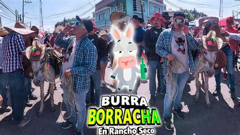 Burra Borracha En Rancho Seco Celaya Guanajuato Youtube