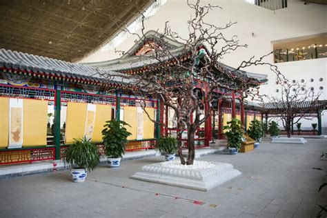 Asia Chinese Beijing China Garden Museum Indoor Exhibition Hall