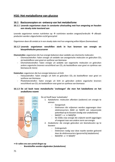 Biochemie II Deel 4 Hoofdstuk 16 21 H16 Het Metabolisme Van