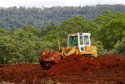 Agriculture And Overexploitation Main Drivers Of Species Loss Study